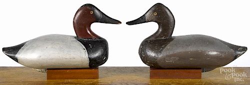 Pair of Chesapeake Bay carved and painted canvasback duck decoys, mid 20th c., 14'' l.