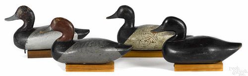Four Chesapeake Bay carved and painted duck decoys, mid 20th c., to include a canvasback