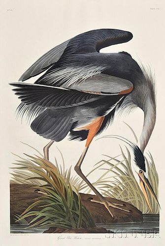 Audubon, John James (1785-1851) The Birds of America,   Abbeville Press Facsimile.