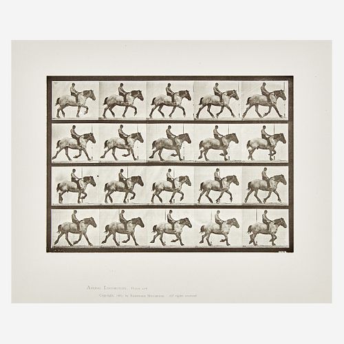 Eadweard Muybridge (British, 1830-1904) Animal Locomotion, Plate 597