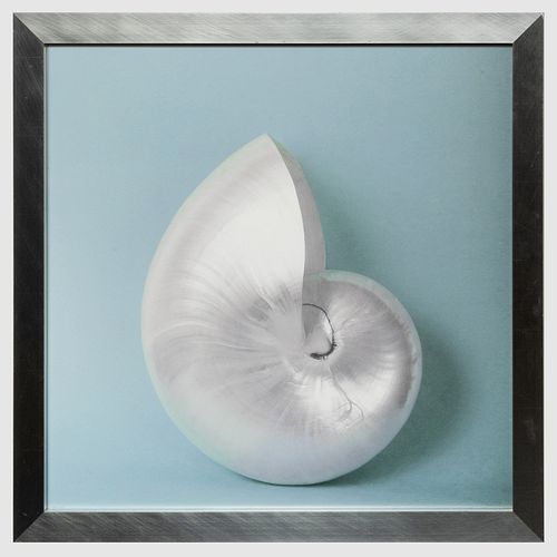 Robert Lebeau: Nautilus