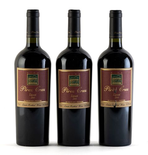 Three Pérez Cruz Liguai bottles, vintage 2005.
Category: red wine. DO. Maipo Valley, Paine (Chile).
Level: A.
75 cl.