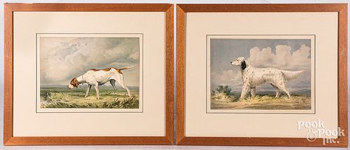 Four Alexander Pope dog lithographs