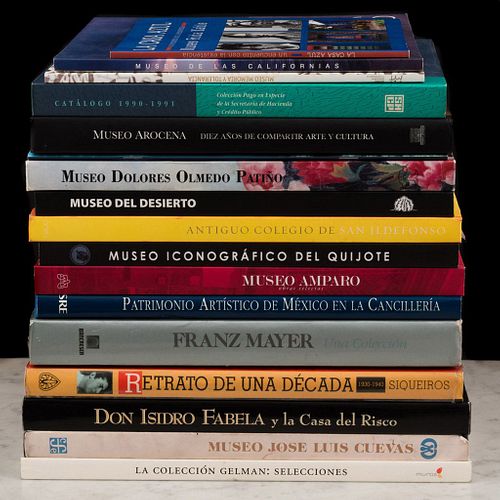 Libros sobre Museos de Ciudad de México y Provincia. Museo Dolores Olmedo Patiño / Museo Amparo / Museo José Luis Cuevas. Pzs: 18.