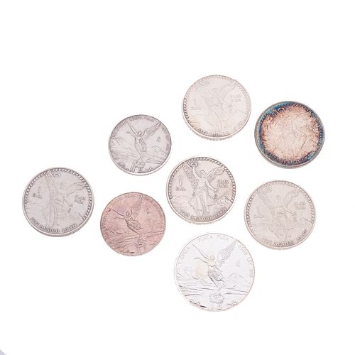 Seis monedas de 1 Onza de plata ley .999 y dos monedas de 1/2 Onza de plata ley .999. Peso: 218.4 g.
