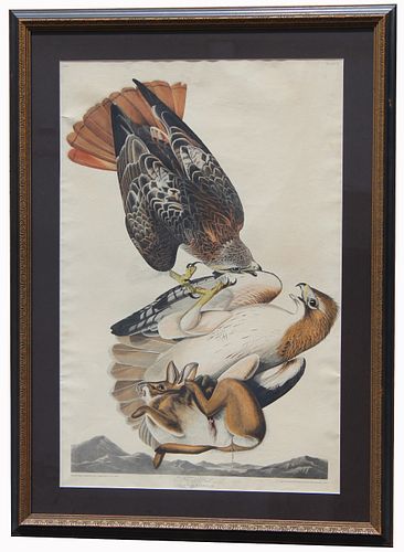 Audubon "Red-tailed Hawk" Plate 51, Robert Havell