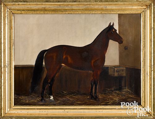 Essie Leone Seavey Lucas oil horse portrait