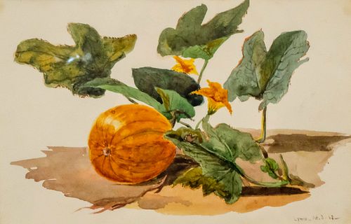 Charles de Wolf Brownell, Pumpkin on the Vine