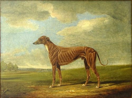 18/19th Century English School Oil on Canvas, Greyhound.