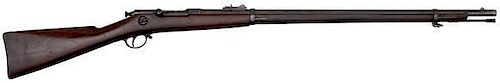 Springfield Hotchkiss Army Rifle 
