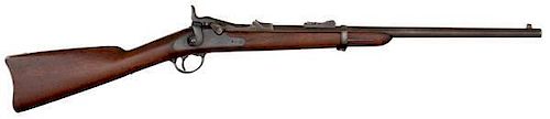 Model 1873 Springfield Trapdoor Carbine 