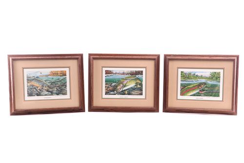 Trout Of The Seasons Rod Walinchus Lithographs (3)