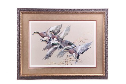 Art LaMay Ducks Unlimited Limited Print Of Wigeons