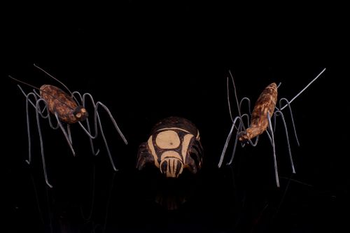 South African Bushman Crafted Insect Figurines