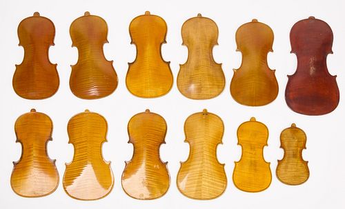 One Dozen Sample Violin Backs