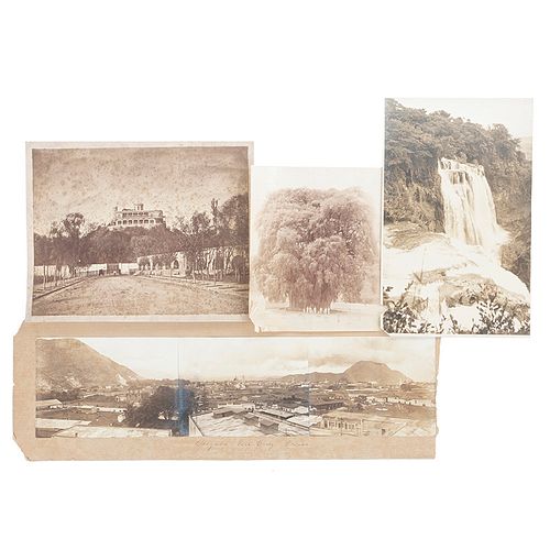 Colección de Fotografías: Árbol del Tule / Vista del Castillo de Chapultepec / Cascada de "El Salto", San Luis Potosí. 4 Fotografías