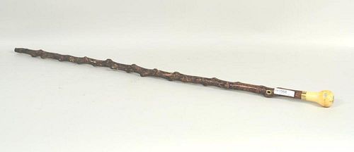 Antique Burlwood Bone Handled Dagger Cane
