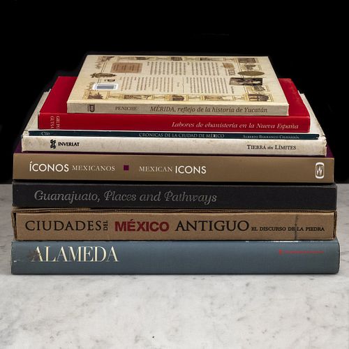 Libros sobre México. Crónicas de la Ciudad de México / Guanajuato, Places and Pathways / Alameda. Piezas: 8.
