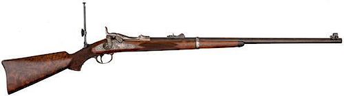 Model 1881 Springfield Marksman Rifle Presented to 1st Sergeant E.P. Wells 