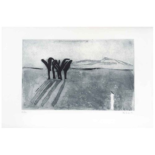 JOY LAVILLE, Sin título, Firmado Grabado al aguatinta 15 / 20, 24 x 38.5 cm | JOY LAVILLE, Untitled, Signed, Aquatint engraving 15 / 20, 9.4 x 15.1" (