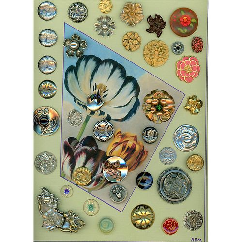 CARD OF ASSORTED DIV 1 & 3 ASSORTED PLANT LIFE BUTTONS