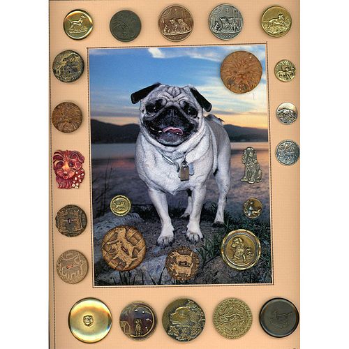 A CARD OF DIV 1 & 3 ASSORTED MATERIAL DOG BUTTONS