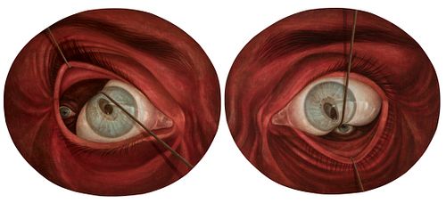 MARINA NUÑEZ (Palencia, 1966). 
"Pair of eyes". 
Oil on canvas glued to aluminium plates. 
Sizes: 138,5 x 158,5 cm (x2); 140 x 355 cm (diptych).