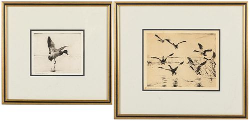 Frank Benson (MA, 1862-1951), Two Etchings of Birds