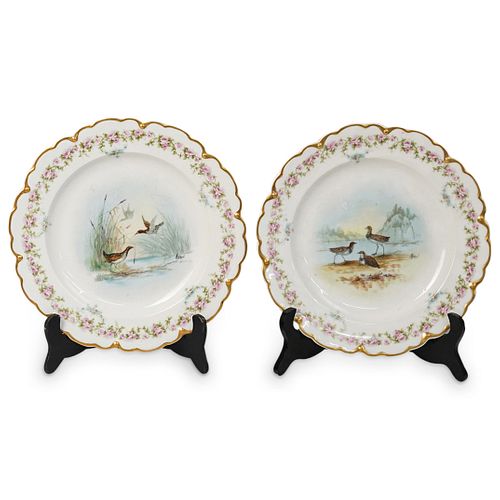 (2 Pc) Limoges Theodore Haviland Porcelain Plates