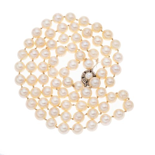 Collar de un hilo de perlas cultivadas y plata paladio. 75 perlas cultivadas color crema de 7 mm. Peso: 60.3 g.