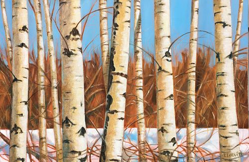 Laurie Leavitt - Maine Birches