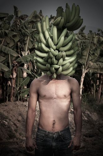 Gonzalo Fuenmayor, MFA '04 - Mr Bananaman Edition 2/5