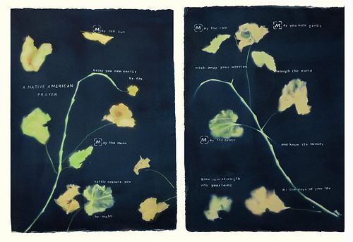 Laura Blacklow, Former Faculty - a Diptych from the portfolio, Backyard Botanicals