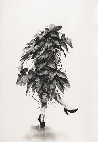 Gonzalo Fuenmayor, MFA '04 - Botanical Improvisations #9