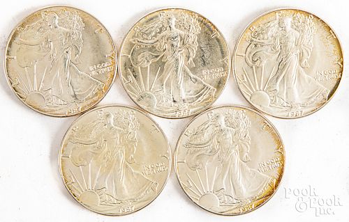 Five Liberty Eagle 1ozt fine silver coins.