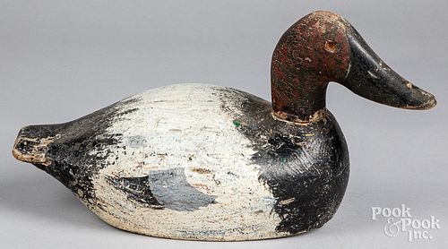 Carved and painted canvasback duck decoy