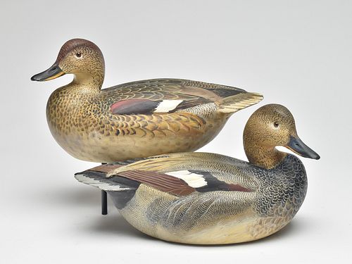 Exceptional pair of gadwall, Ward Brothers, Crisfield, Maryland.