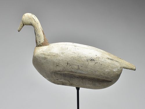 Root head swan, North Carolina, unknown maker, 1st quarter 20th century.