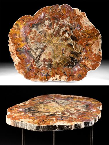 Triassic Arizonan Petrified Wood Table w/ Iron Legs