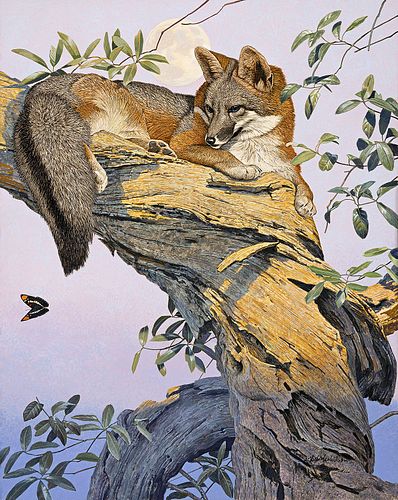 Nicholas Wilson "Fox and the Butterfly"