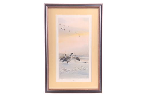 Tom Sander Canadian Goose "Winter" Framed Print