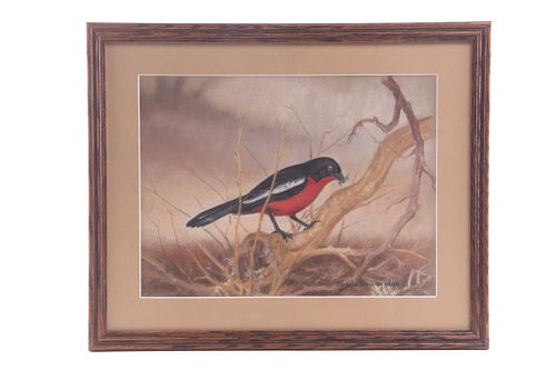 Original Sheila Bainbridge Crimson Shrike Painting