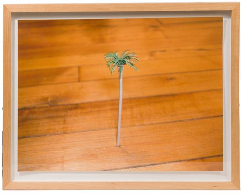 Ken Fandell (American, b.1971) 'A Palm Tree in my Floor' Digital Print