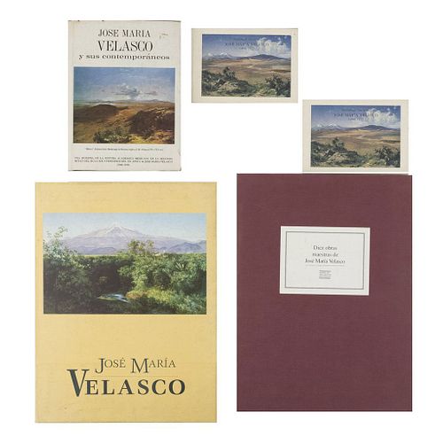 Libros sobre José María Velasco. José María Velasco y sus Contemporáneos / José María Velasco. Pzs: 23.