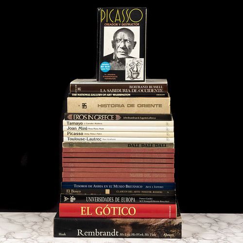 Libros sobre Arte y Pintores Europeos.Toulouse - Lautrec / Picasso / Joan Miró / El Gótico. Piezas: 22.