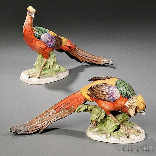 Pair of Dresden Porcelain Pheasants