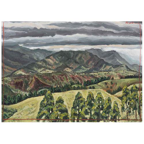 LUIS ARGUDÍN, Sierra en Armenia, Colombia, Signed and dated 01 on front, Signed and dated 2001 on back, Oil/canvas/MDF, 19.2 x 26.9" (49 x 68.5 cm) | 