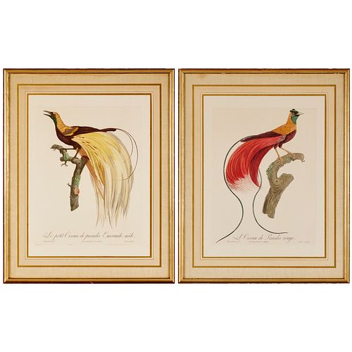 Barraband, (2) ornithological colored etchings