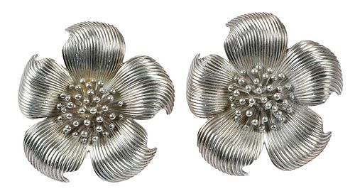 Tiffany & Co. Silver Earrings 