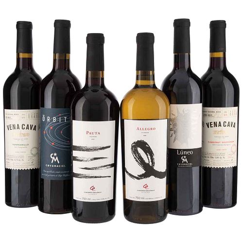 Red and White Wines from Ensenada and Valle de Guadalupe. Total pieces: 6. | Vinos Tintos y Blancos de Ensenada y Valle de Guadalupe. Total de piezas: